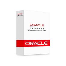 Oracle Oracle Database Standard Edition One Processor License (113-112-12-ORACLE-SL)