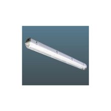 светильники пылевлагозащишенные: ЛСП 49-2*36-204 ЭПРА со стеклом