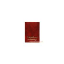 Папка с пружинным скоросшивателем BRAUBERG Contract,  А4,  пластик 0.70мм,  с карманом,  красная
