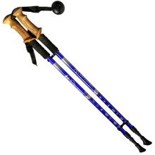 Палки для скандинавской ходьбы PRO  2-х секционные телескопические с чехлом синие R18143